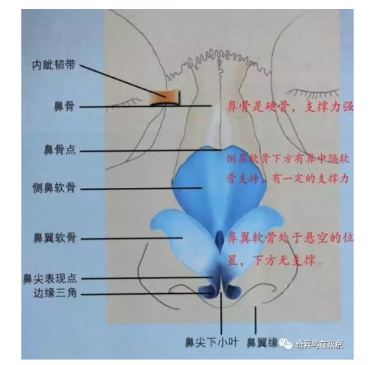 日本整容 那些山根低的女孩该怎么办呢 知乎