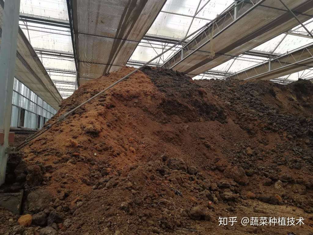 无土栽培技术 贝贝南瓜种植管理技术 知乎