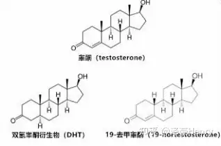 氧雄龙美睾酮图片