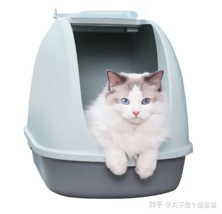 猫砂盆全半閉鎖猫トイレ超大猫糞尿盆外飛散防止猫砂盆小猫用品-