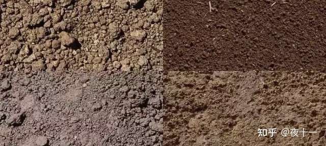 植物栽培常用土壤介绍 知乎