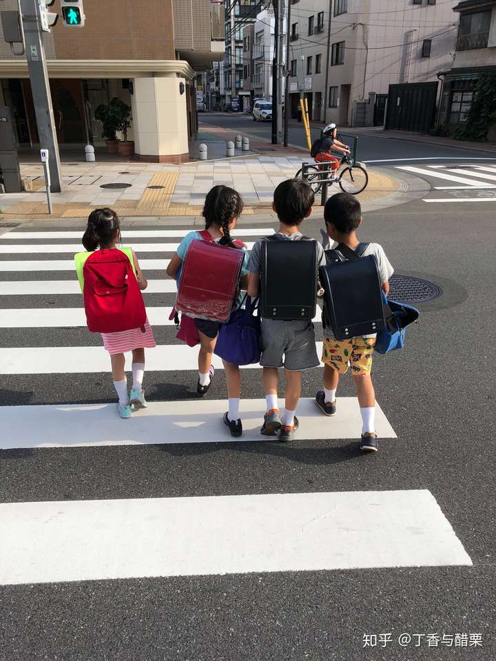 过马路的时候忍不住拍的太可爱了