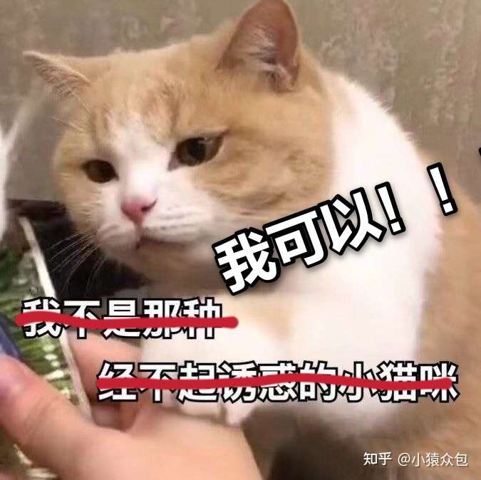 小猿搜题线上录题兼职招募 知乎