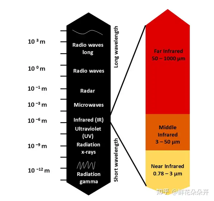 光照就能治病？红外光疗在糖尿病、肥胖等代谢疾病中的惊人潜力