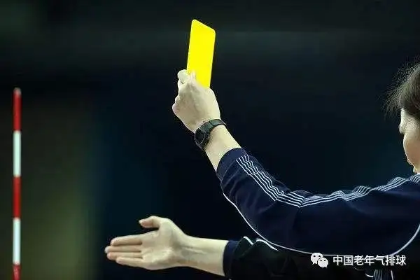 关于气排球的球网网柱器材与设备