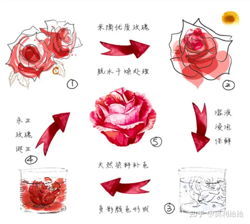 22年开年礼物选购分享 适合送给女友的鲜花礼物合集 知乎