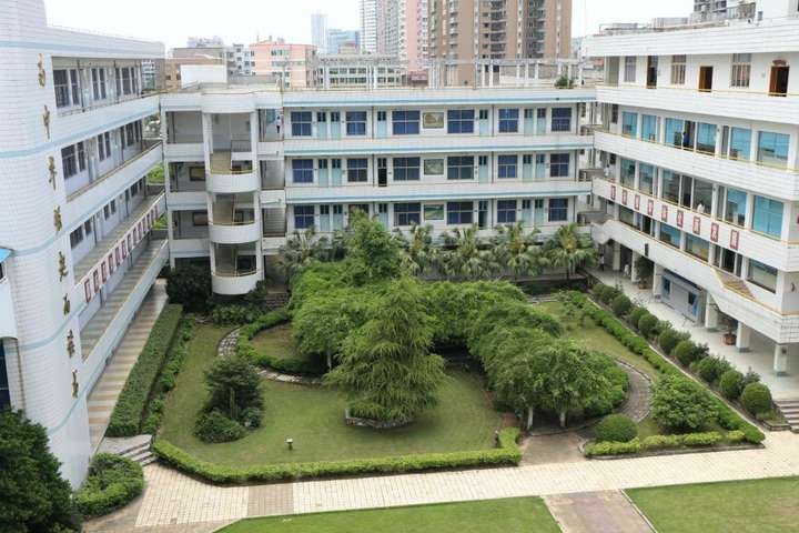 在苍南县龙港高级中学就读是怎样一番体验?