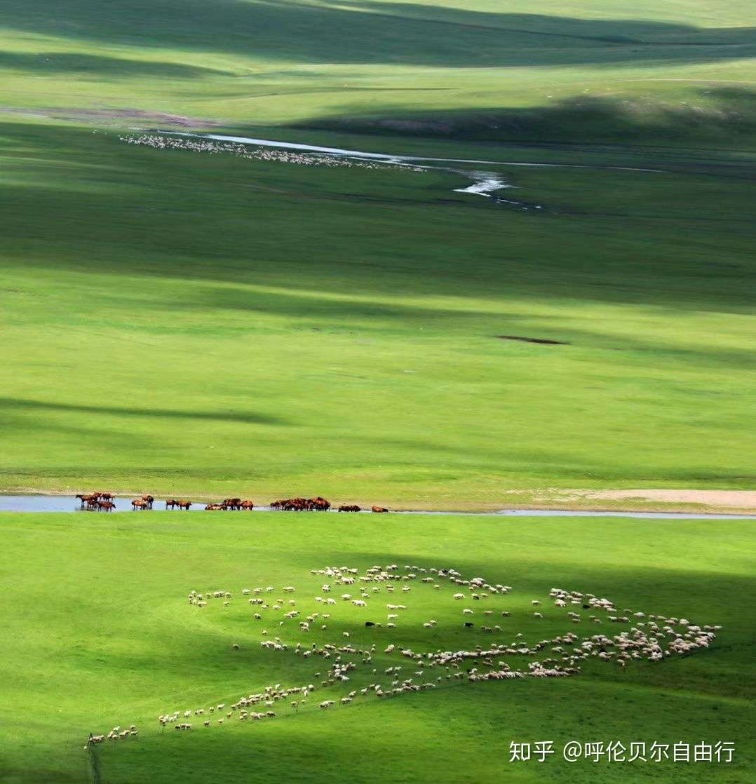 七八月份来呼伦贝尔草原包车自由行怎么选择经济实惠的车型 知乎