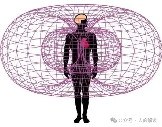 神奇的心脑同步性，合一的奥秘远超想象-人的解读