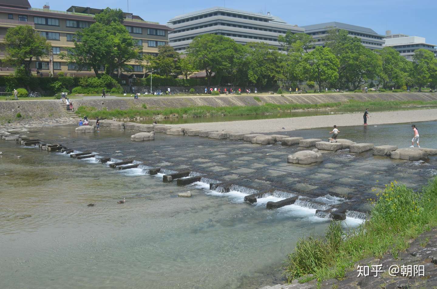 京都 鸭川 跟随北大教授 欣赏鸭川的美 知乎