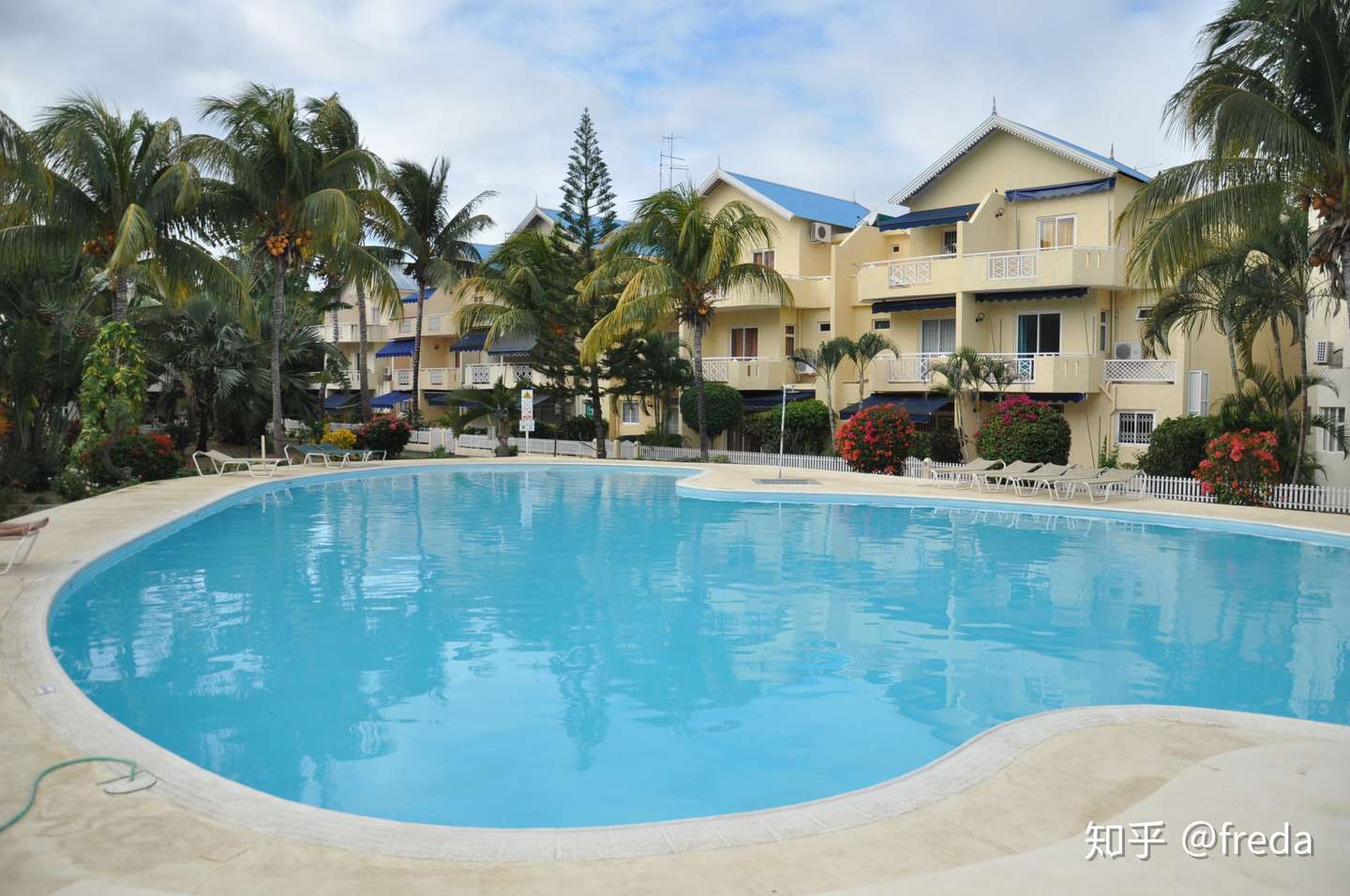 关于 国际志愿者 国外义工旅行 一篇超全的个人经历总结 知乎