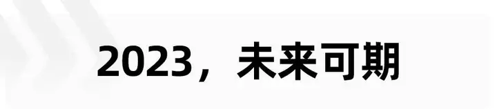 着眼全球和未来，欧拉不只有“她”