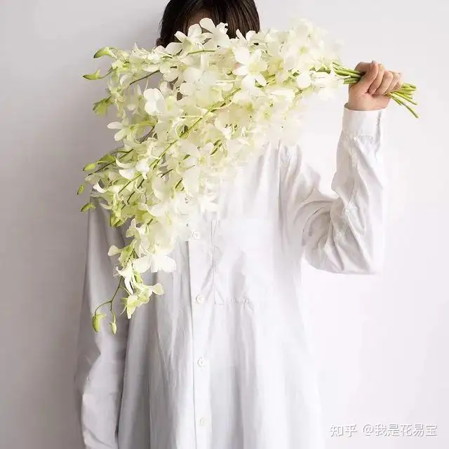 女神节快到了 除了康乃馨还有这些爆款花礼 知乎