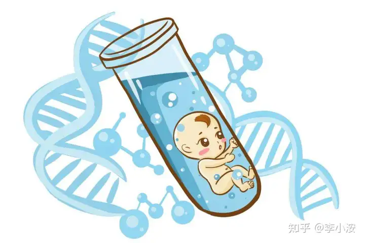 广州供卵三代包男孩（试管婴儿怎么做的全过程）