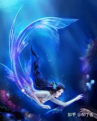 人鱼- 知乎