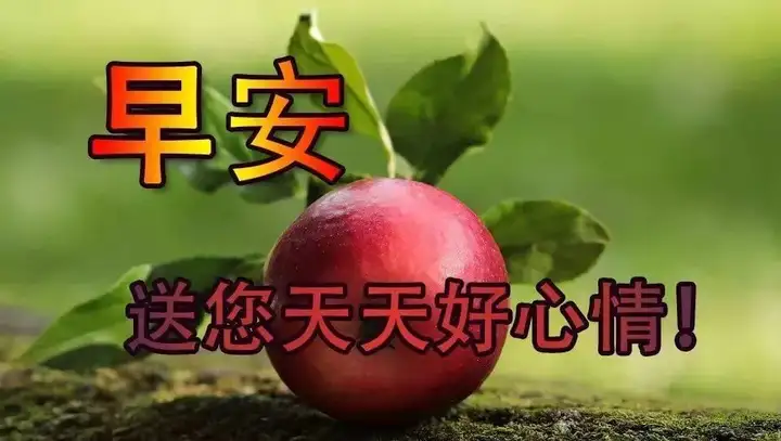 早晨好问候语录暖心句子送给你，清晨慰问朋友的早上好祝福句子（早上问候朋友的祝福语）