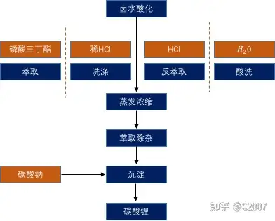 盐湖提锂原理图片