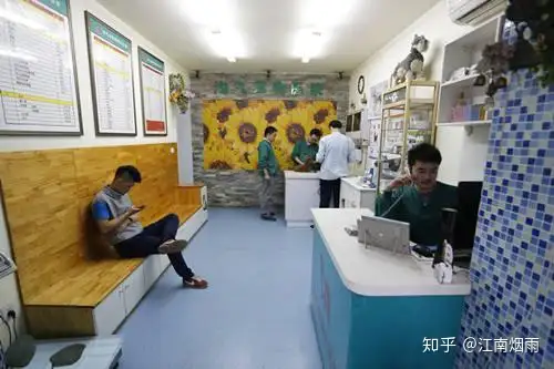 宠物行业发展前景如何？