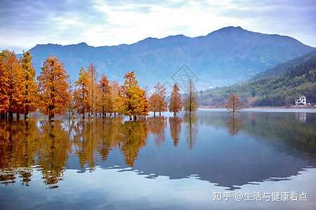 喜欢用手机玩拍 水中倒影 的 何不来拍一张 天空之镜 呢 知乎