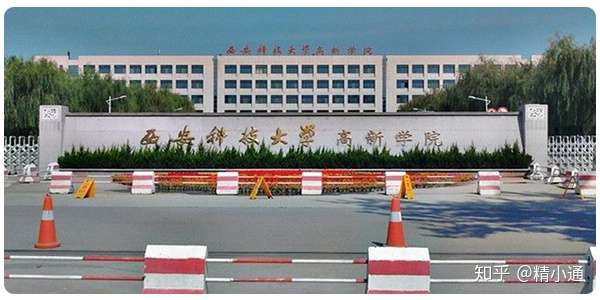 精小通 67 精通教育科技集团有限公司新媒体运营主管 2020年陕西