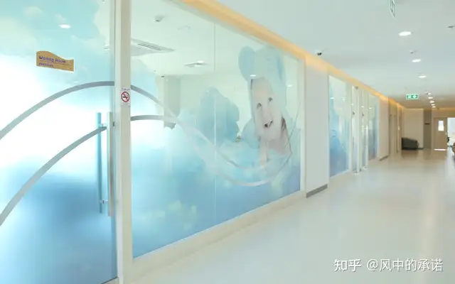 多少钱可以在成都借卵（试管婴儿好不好？说一下我的试管经历）