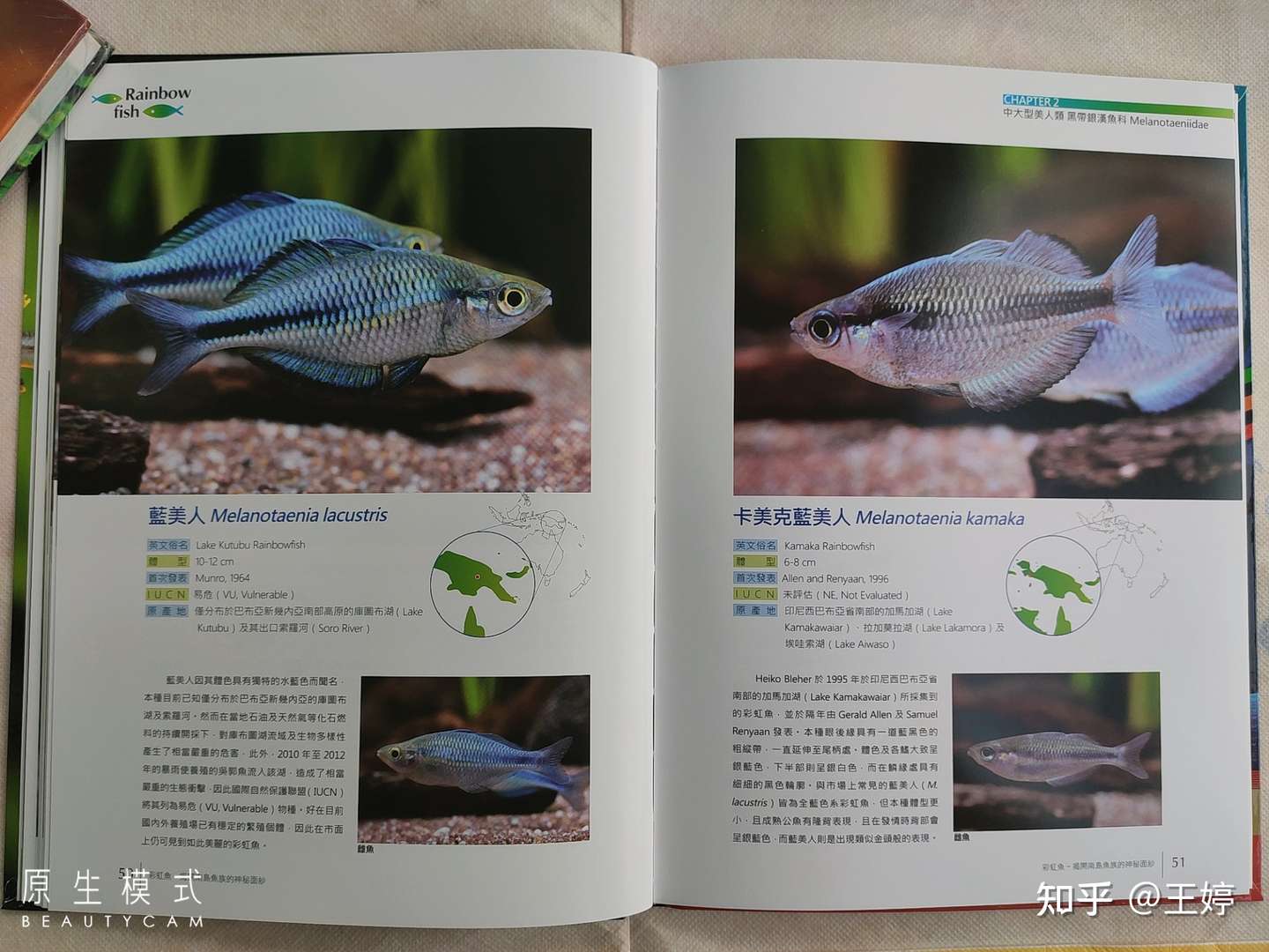 水族书籍推荐之 彩虹鱼 揭开南岛鱼族的神秘面纱 知乎