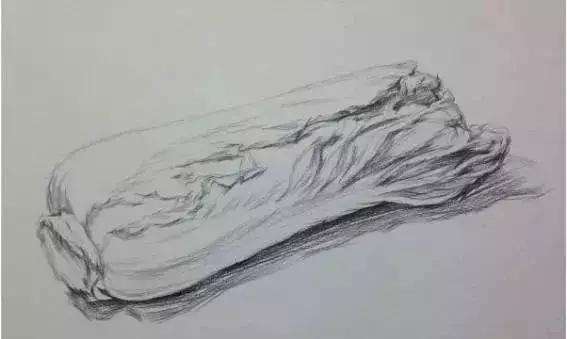 静物素描蔬菜篇之大白菜画法及步骤讲解