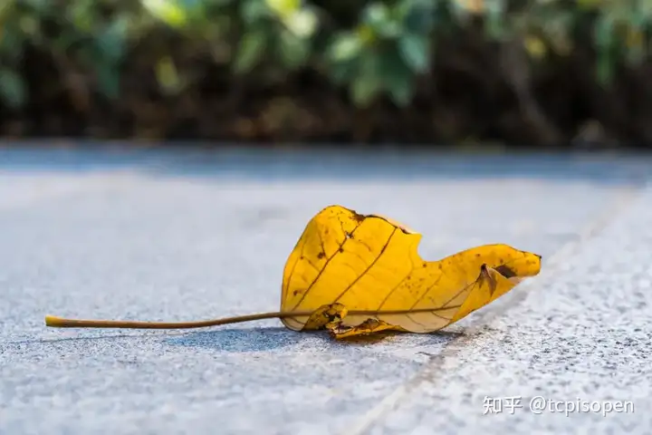 男子得知母亲去世崩溃交警帮代驾（孩子亲眼目睹母亲土葬） 第4张