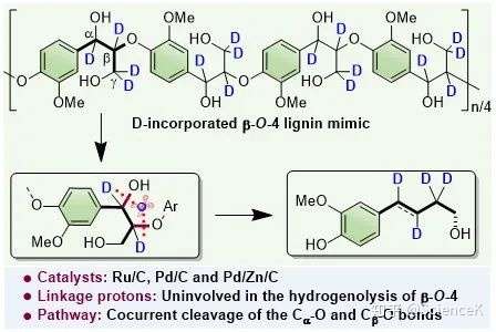 文獻解讀acscatalysis利用氘標記的βo4木質素模型物探究木質素氫解