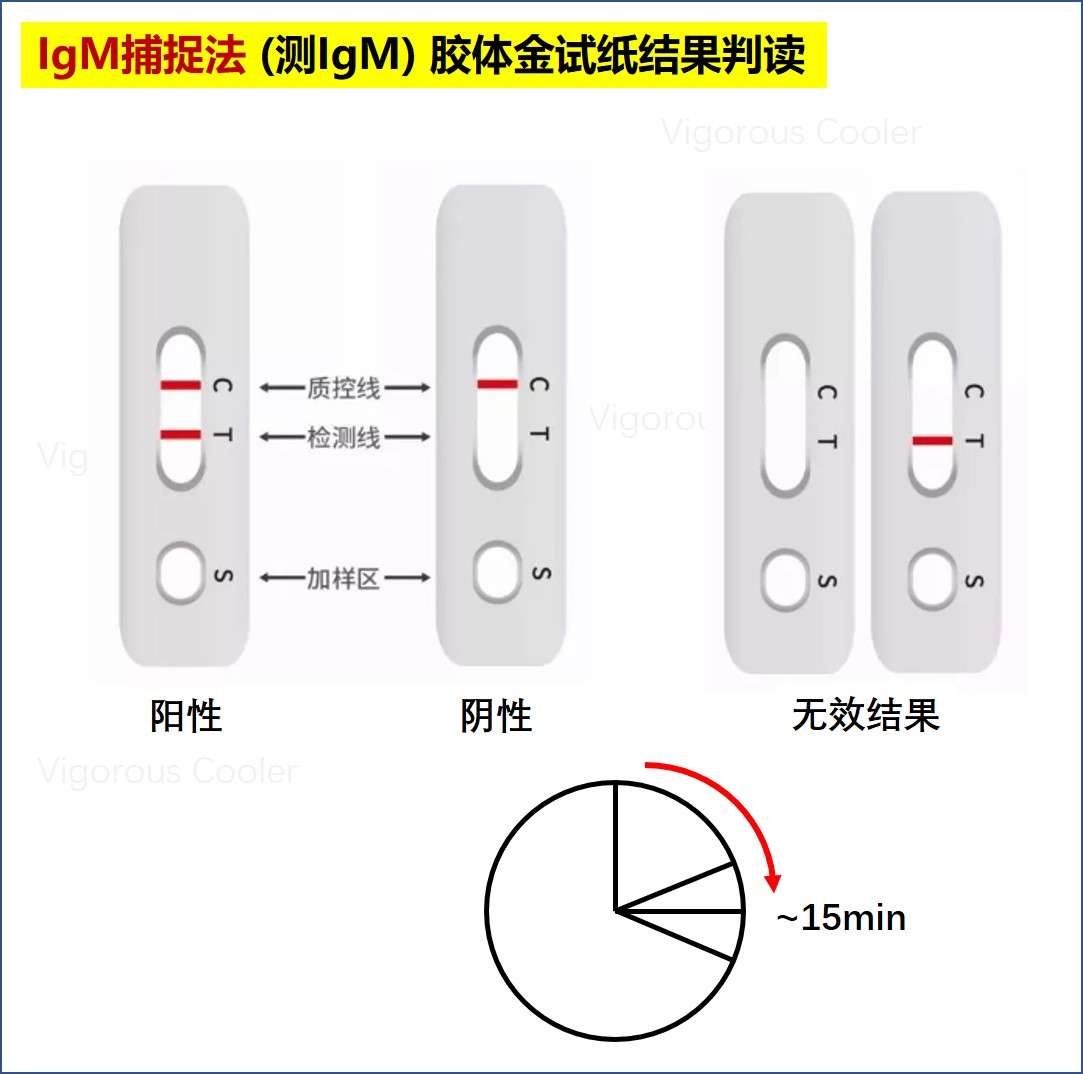 新型冠状病毒快速检测之原理 1 知乎