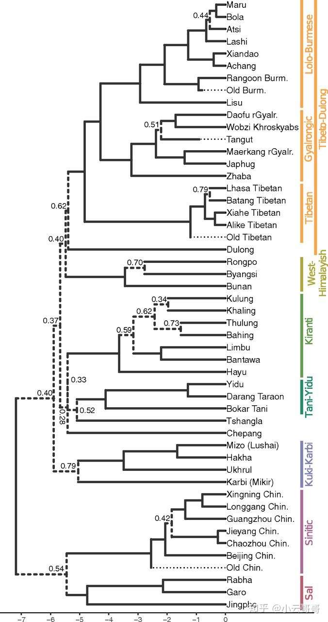 单从语言学的角度,你认为嘉绒语和普米语究竟归入羌语支还是藏语支更