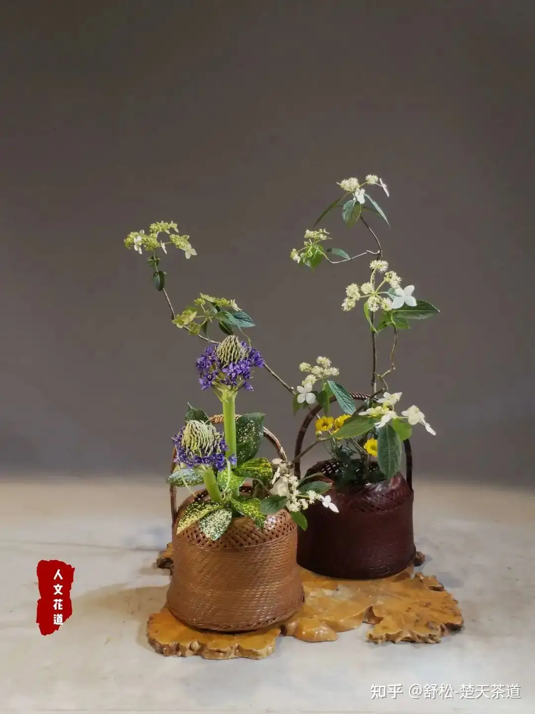 人文花道 篮花 专修介绍 楚天茶道 知乎