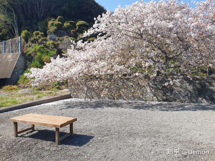 能更新一下你日常生活中遇到的快乐的事情吗?