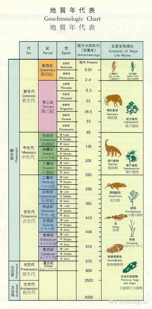 寒武纪这家公司到底是干啥的