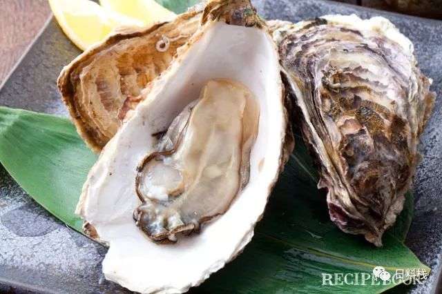 真牡蛎 你猜世界上最常见的牡蛎在日本过得好吗 知乎