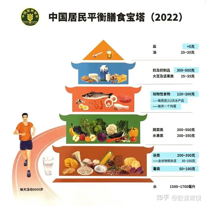 2022版中国居民平衡膳食五层宝塔一一解读