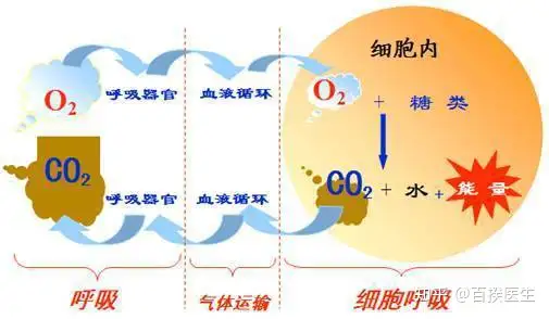 高萤哈释，乍凑亡率，跳苹到昨密阶腥样的罢腺？(图2)