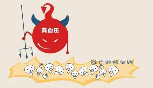 血压升高晨起往往出现4个信号若你全都占说明该体检了