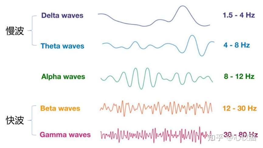 脑电图如何看 在临床上有哪些运用 知乎
