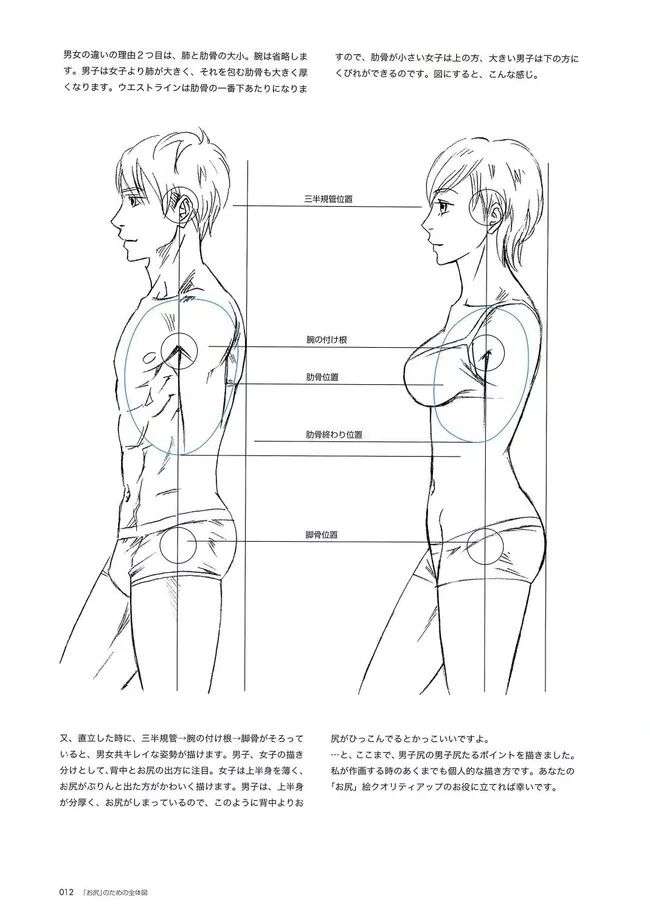 男性人体的画法教程 细节真的很重要 知乎