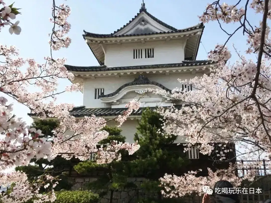 怎样评价日本战国时代城池最典型的标志物 天守 知乎