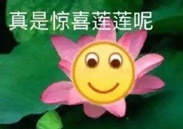 淘宝拍卖，被商家玩成了绿油油的韭菜地！-锋巢网