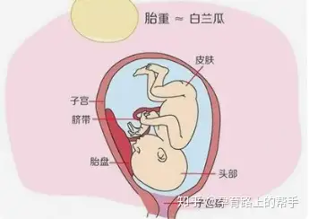 子宫内膜炎会影响怀孕吗有什么影响南京新协和