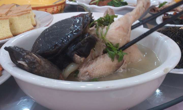 其实就是王八炖鸡