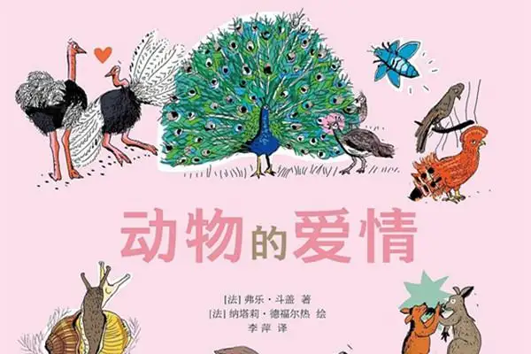 一个由动物来演绎的爱情故事 告诉我们不一样的爱情真理 知乎
