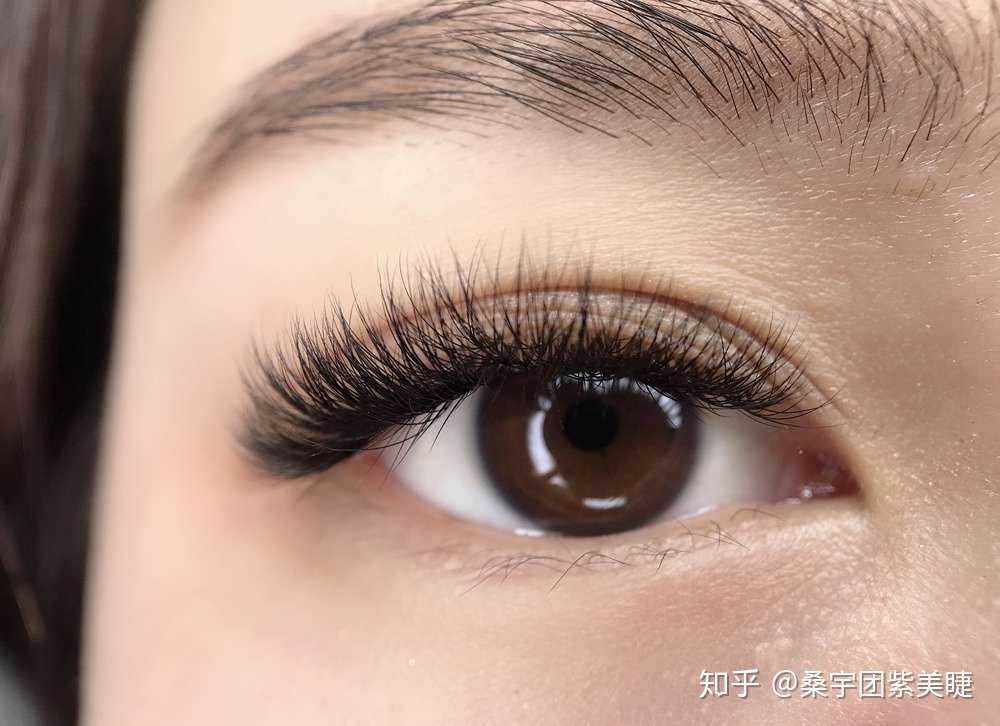 学习美睫要注意的八点 廊坊市东晖职业培训学校