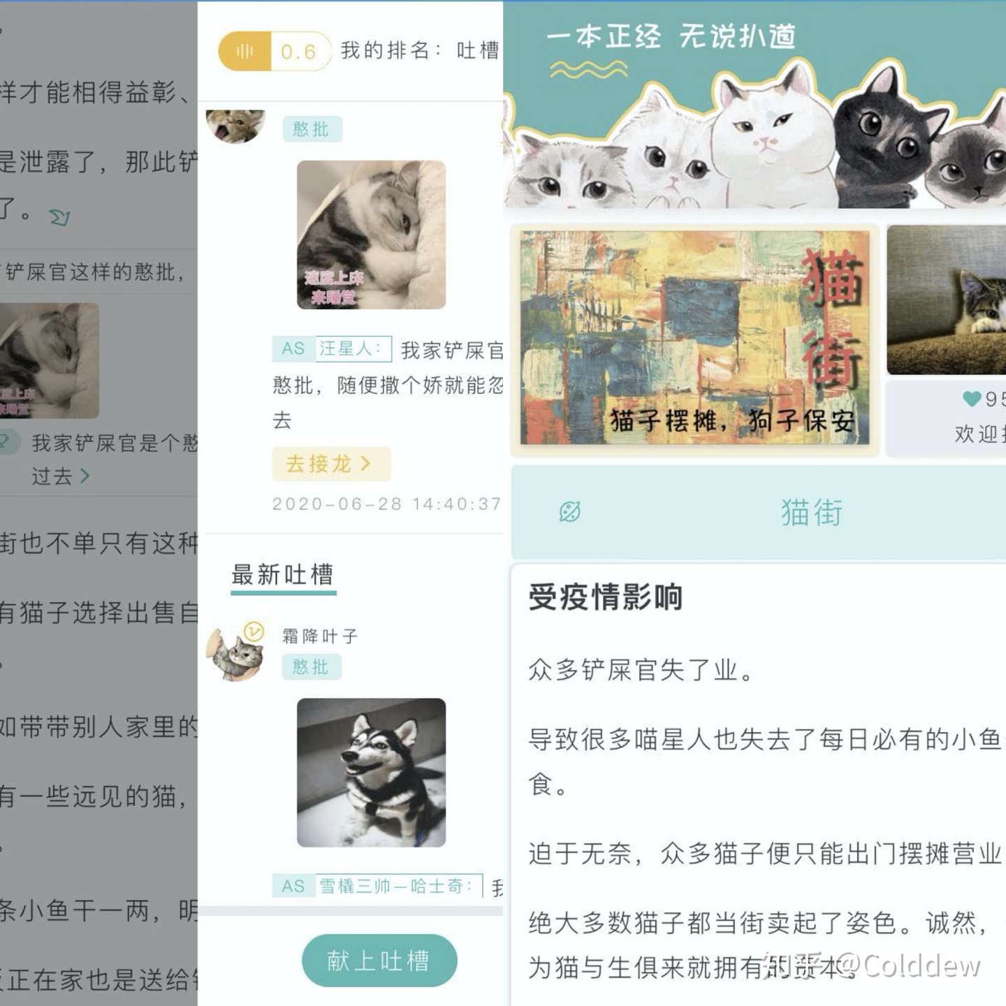 你家猫子除了卖萌还能做啥 知乎