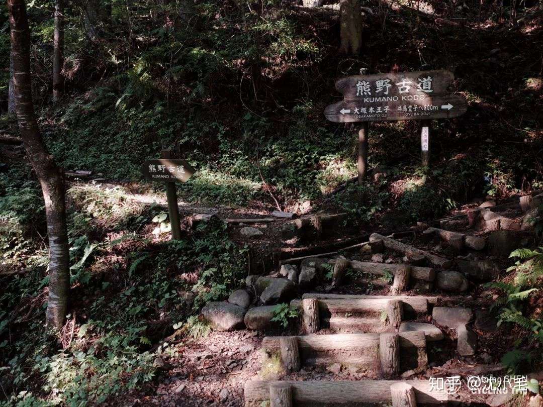 山川心地内 一念即千重丨熊野古道骑行记 知乎