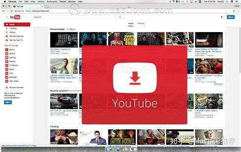 Mac版youtube下载器 知乎