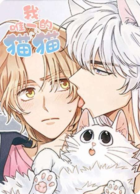 穿越韩漫 我唯一的猫猫 完整内容 知乎
